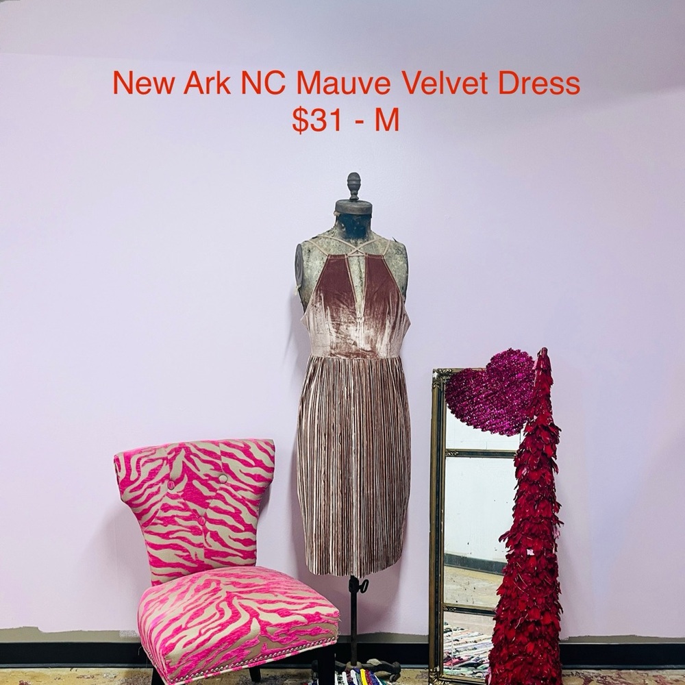 New Arc N C Velvet Dress